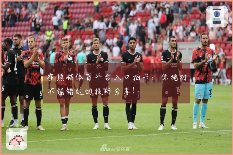 在熊猫体育平台入口抽卡，你绝对不能错过的技巧分享！